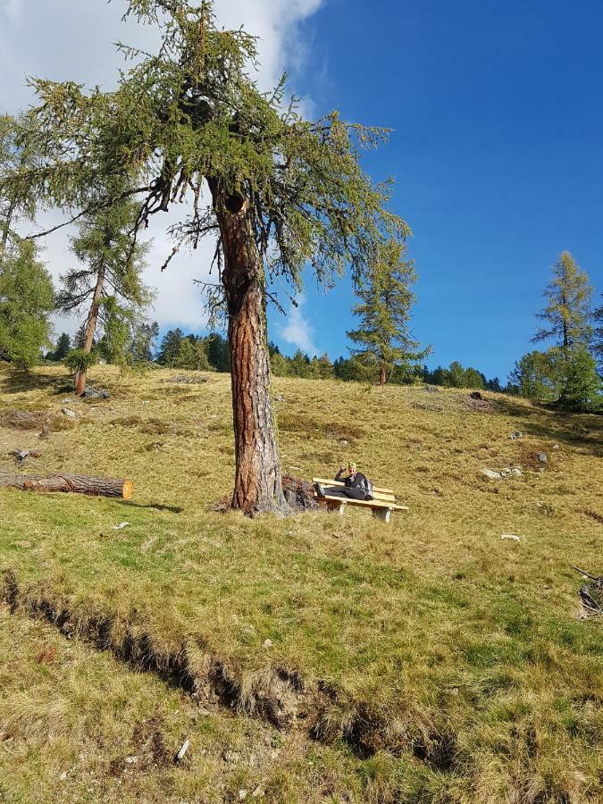 David Suiten Mauterndorf  Buitenkant foto